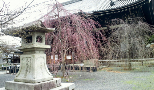 a0079292_13103741.jpg