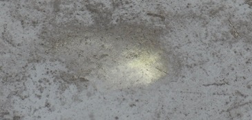 c0168096_6393281.jpg