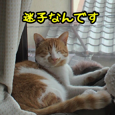 b0141397_1226249.jpg
