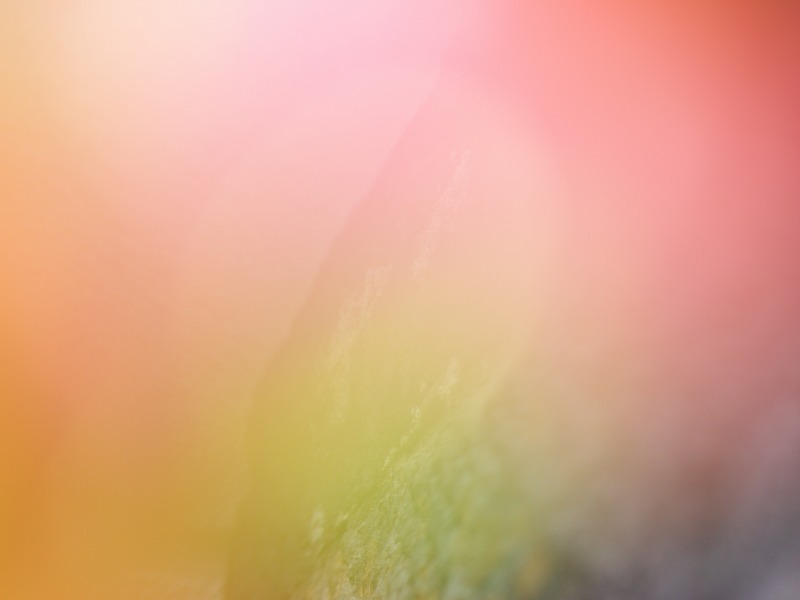 f0224100_2329477.jpg