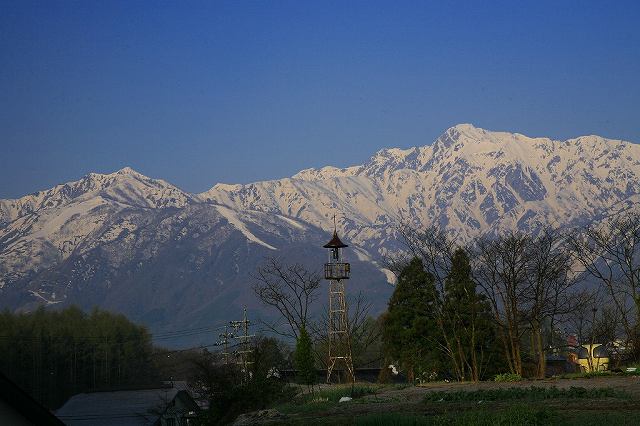 a0188405_0303725.jpg