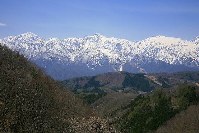 a0188405_034926.jpg