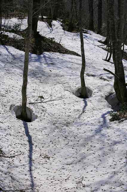 a0188405_0364494.jpg