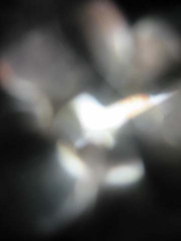 e0103408_1551344.jpg