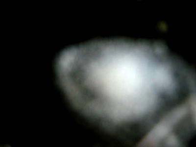 e0103408_23382586.jpg