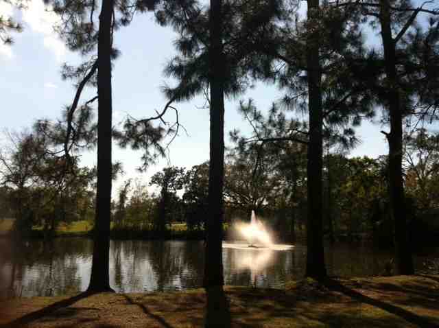d0131413_23205437.jpg