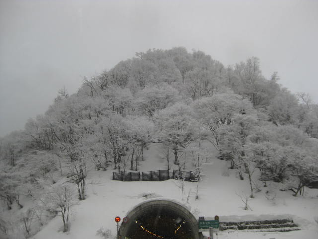 a0070715_1541324.jpg