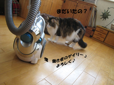 e0195115_20124440.jpg
