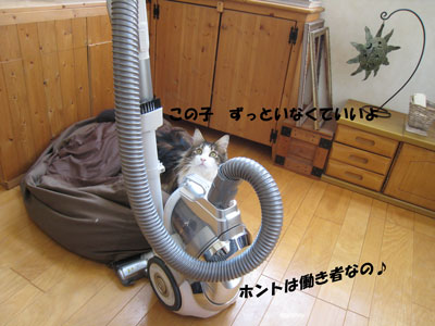 e0195115_20212022.jpg