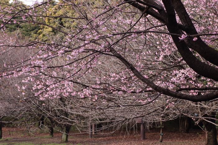 b0165522_7112581.jpg