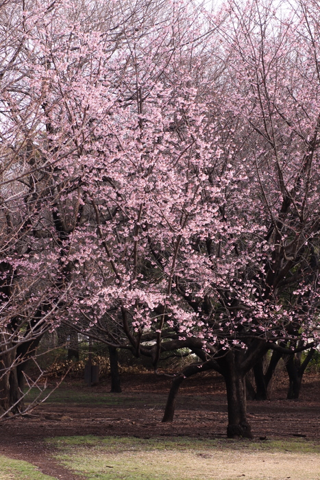 b0165522_714558.jpg