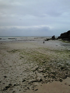 e0002927_19274961.jpg