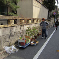 d0033734_3114872.jpg