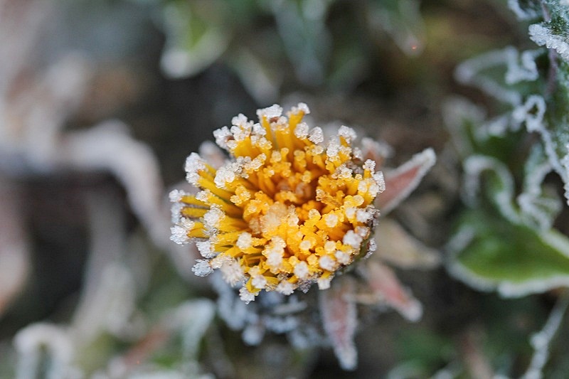 e0052135_22453592.jpg