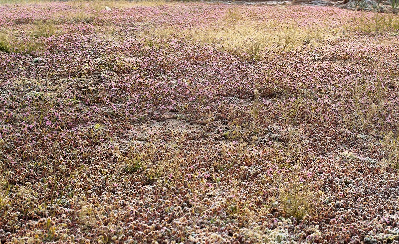 e0052135_2249880.jpg