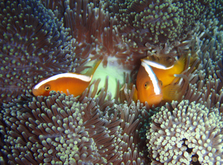 f0014842_1743276.jpg