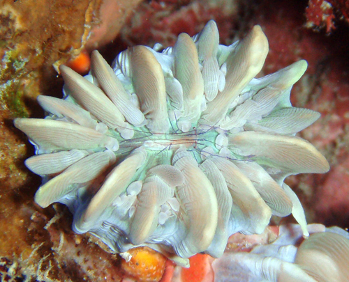 f0014842_17434527.jpg