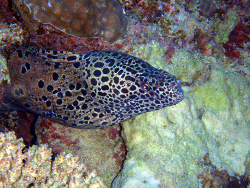 f0014842_174435.jpg