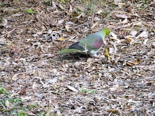 f0213347_0163512.jpg