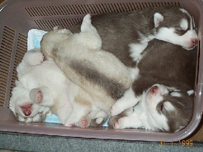 e0121548_10515100.jpg