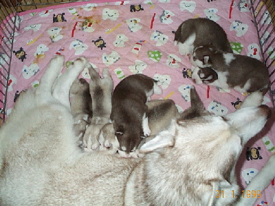 e0121548_1065933.jpg