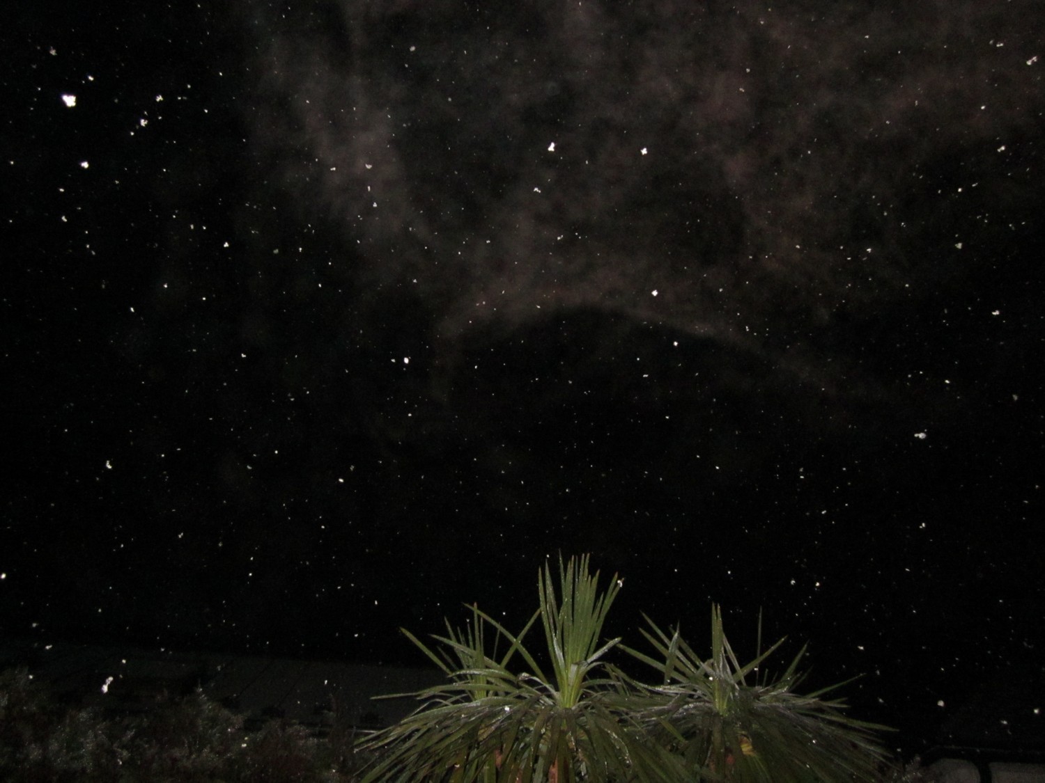 d0075649_7564087.jpg
