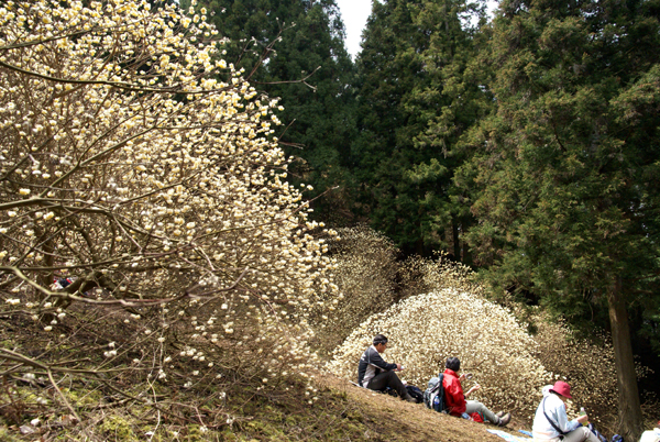 f0214649_682422.jpg