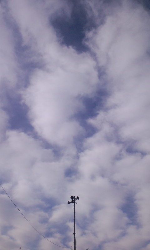 d0087758_2232137.jpg