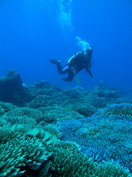 b0062363_17411791.jpg
