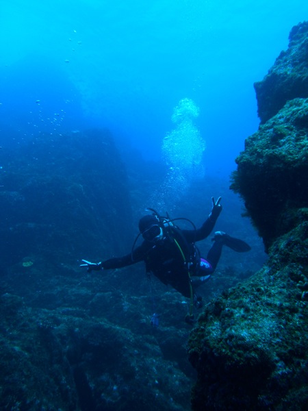 b0062363_17422753.jpg