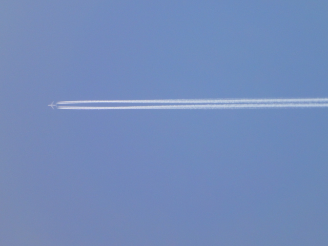 e0055465_1245128.jpg