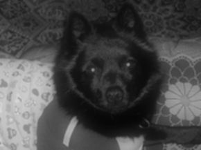 e0002466_1942575.jpg