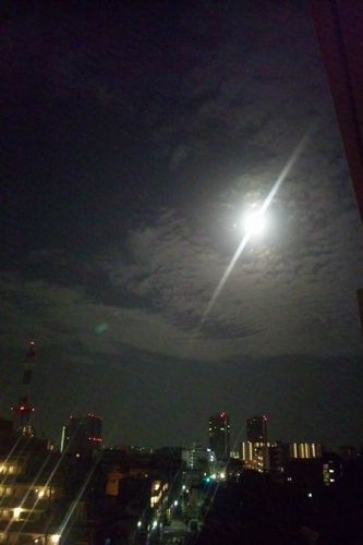 b0069169_1644353.jpg