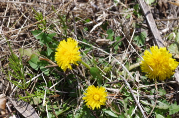 f0054677_82864.jpg