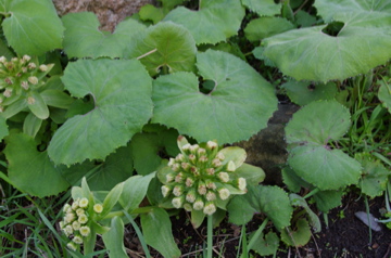 f0054677_844962.jpg