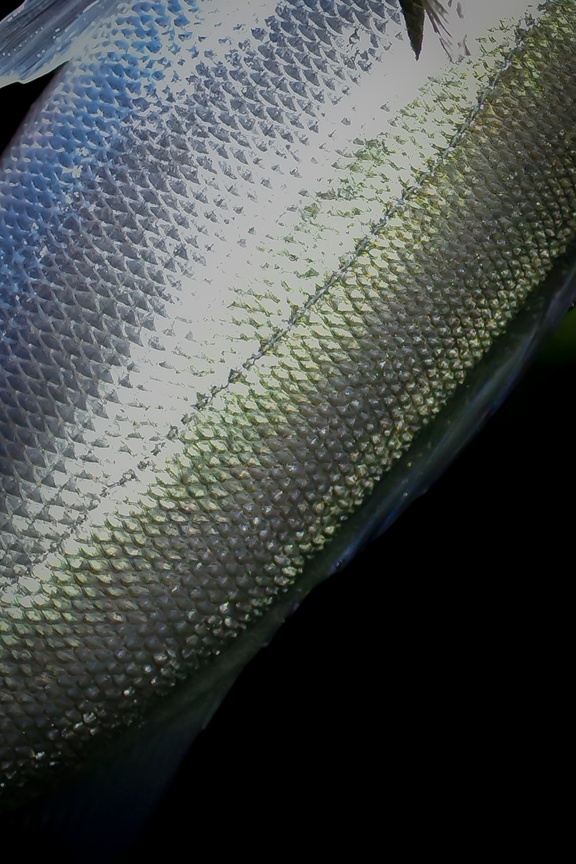 b0165778_18298.jpg