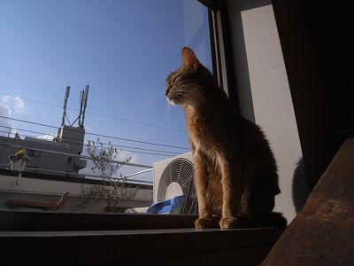 b0177078_21144785.jpg