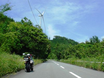 d0155582_2004422.jpg