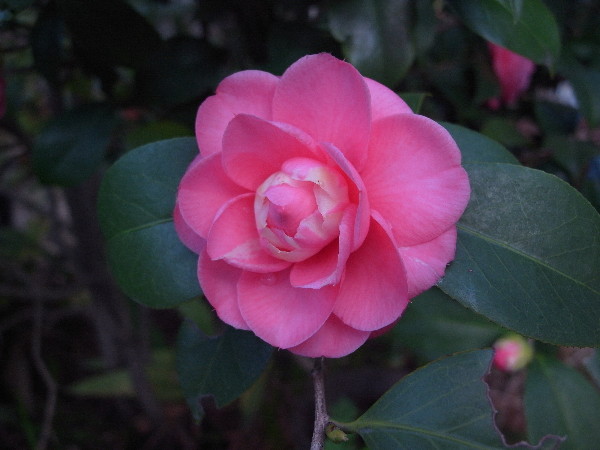c0132387_1921611.jpg