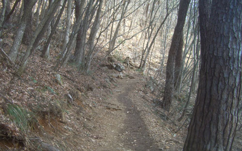 b0099994_9235327.jpg