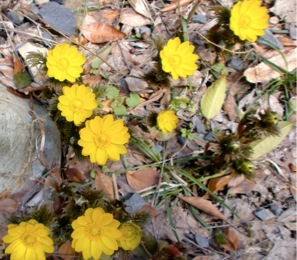 c0151898_924241.jpg