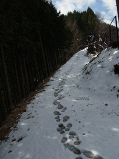 b0183911_2152583.jpg