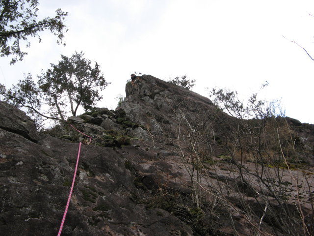 d0006512_23534078.jpg