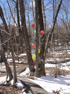 c0125414_9423259.jpg