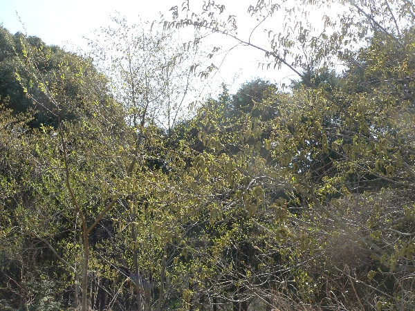 e0002314_16481973.jpg