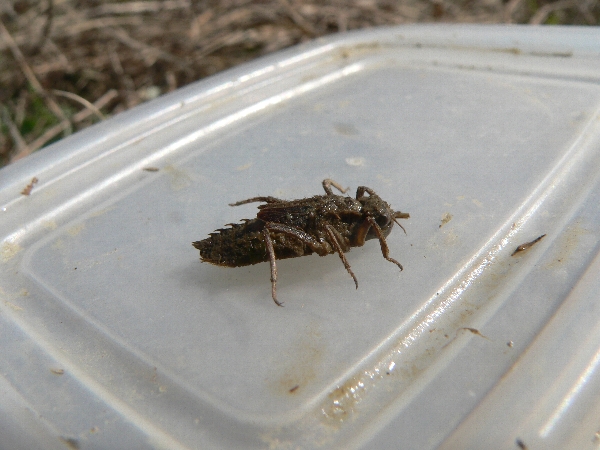 e0002314_16495053.jpg
