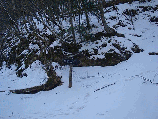 f0193521_1952431.gif
