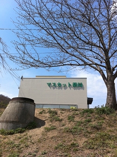 e0094325_19225587.jpg