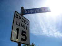 c0148627_1301692.jpg