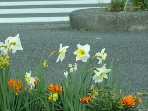 e0033229_2257916.jpg